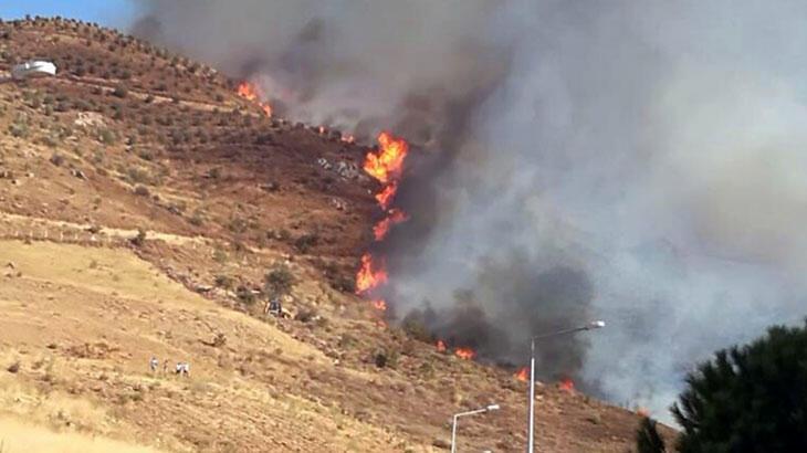  İzmir'deki orman yangını kontrol altına alındı