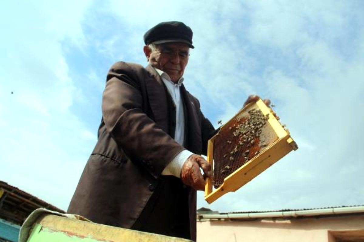 Ardahan da Emekli Öğretmen 64 yıldır arıcılık yapıyor