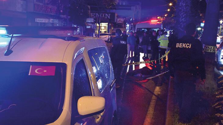 Ardahan Haberi: Adana'da yolun karşısına geçerken otomobilin çarptığı Ala hayatını kaybetti