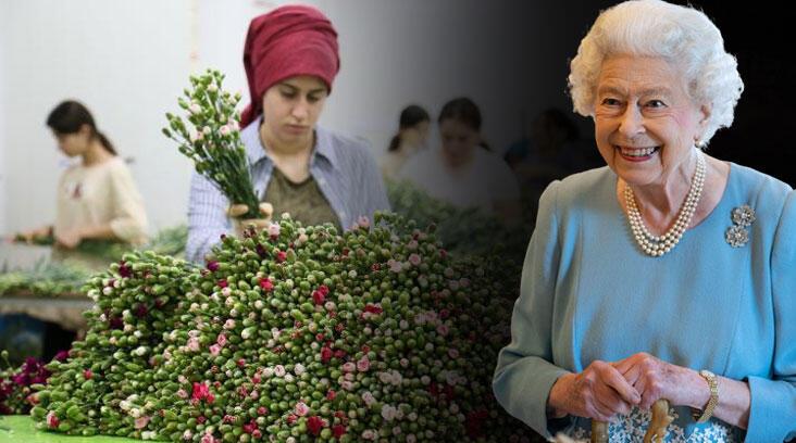 Ardahan Haberi: İki ilde 'Kraliçe Elizabeth' seferberliği! İşçi sayısı ve mesai saatleri artırıldı