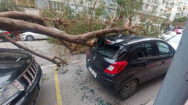 Ardahan Haberi: İzmir'de kuvvetli rüzgar! Ağaç devrildi, 2 araç hasar gördü