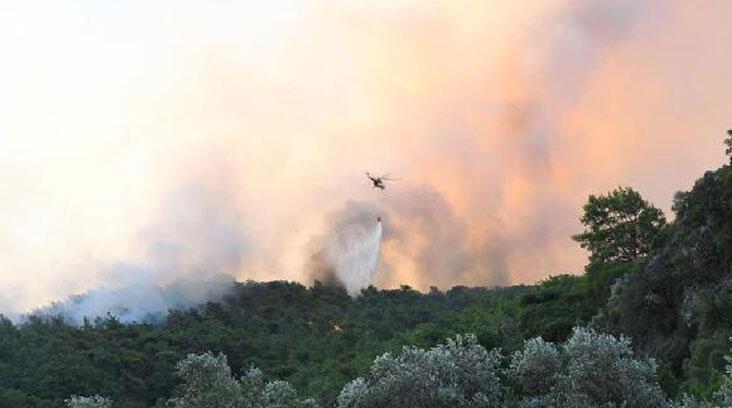 Ardahan Haberi: Muğla'da korkutan orman yangını! Ekipler bölgede