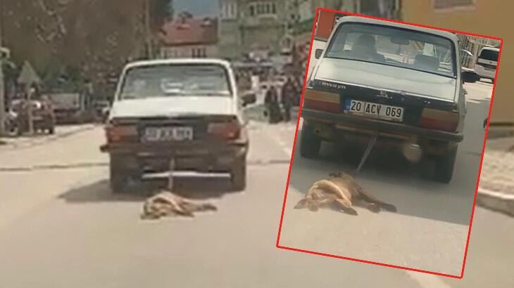 Ardahan Haberi: Otomobilin arkasına bağladığı köpeği sürükleyerek öldürdü