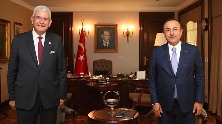 Dışişleri Bakanı Çavuşoğlu, BM Genel Kurul Başkanlığı'na seçilen Bozkır ile görüştü
