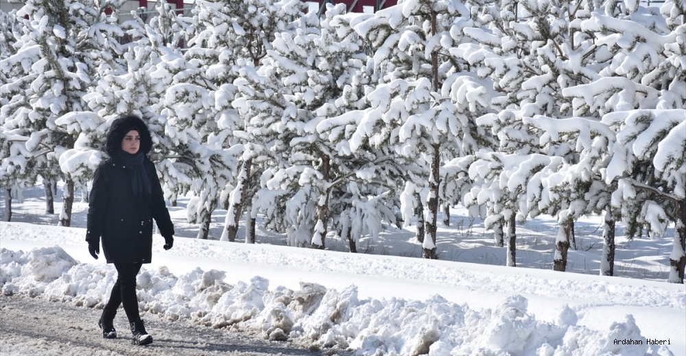 Erzurum, Kars ile Ardahan'da nisanda kar ve soğuk hava etkili oluyor