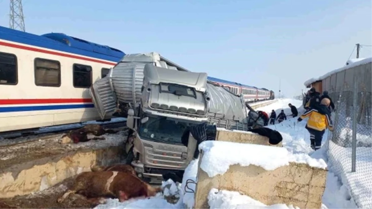 Hayvan yüklü TIR'a tren çarptı: 2 ölü, 2 yaralı