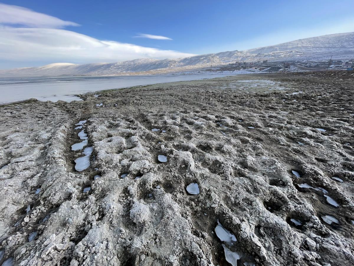 İklim değişikliği pelikanların yuvası Çıldır Aktaş Gölü'nde su seviyesini düşürdü