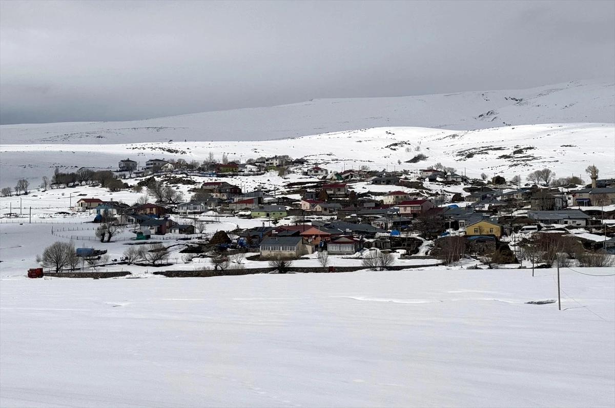 Kars ve Ardahan'da Kar Yağışı ve Soğuk Hava Etkisi