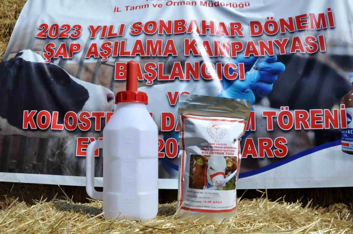 Kars'ta Hayvancılara Kolostrum Dağıtıldı ve Şap Aşılama Kampanyası Başlatıldı