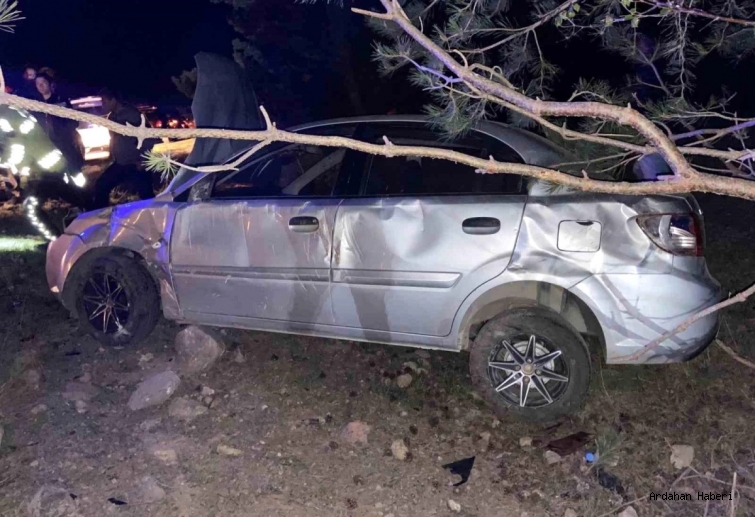 Ardahan'da sürücüsünün direksiyon hakimiyetini kaybettiği otomobil yoldan çıktı