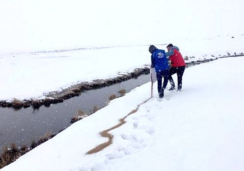 Ardahan a Kar Çok Yağınca yaban hayvanları için yem bırakıldı