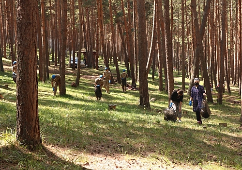 Ardahan'da jandarma farkındalık oluşturmak için gönüllülerle mesire alanında temizlik yaptı