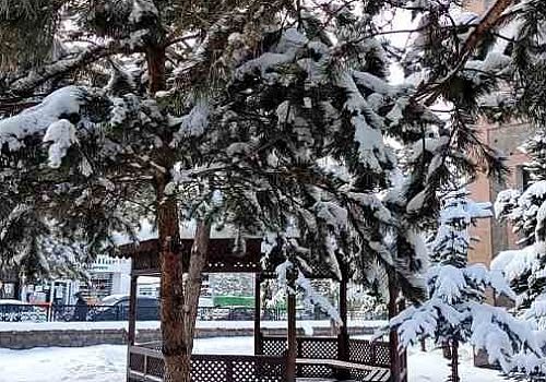 Ardahan da kar yağışı etkili oldu. Karla birlikte güzel manzaralar oluştu.
