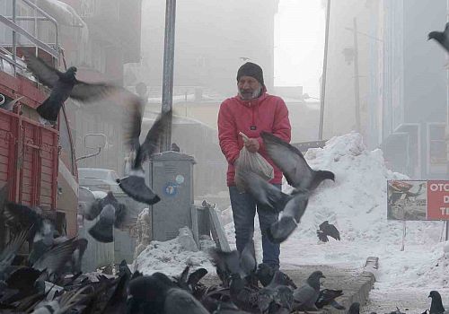 Ardahan da kar yağışı nedeniyle yem bulamayan güvercinleri esnaf besliyor