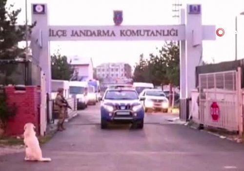 Ardahan'da terör örgütü üyesi 1 kişi tutuklandı