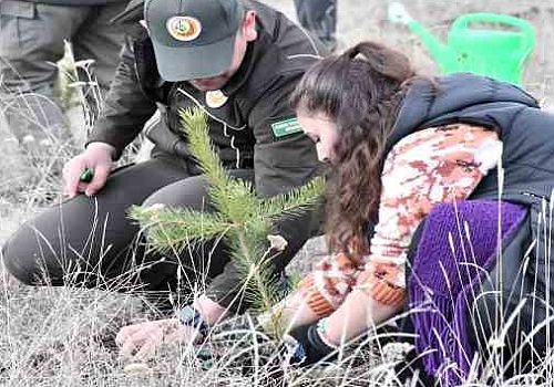 Ardahan Haberi: Ardahan’da depremde hayatını kaybedenler için hatıra ormanı oluşturuldu.