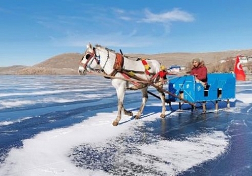 Ardahan Haberi: Buzla kaplanan Çıldır gölünde atlı kızak seferleri başladı