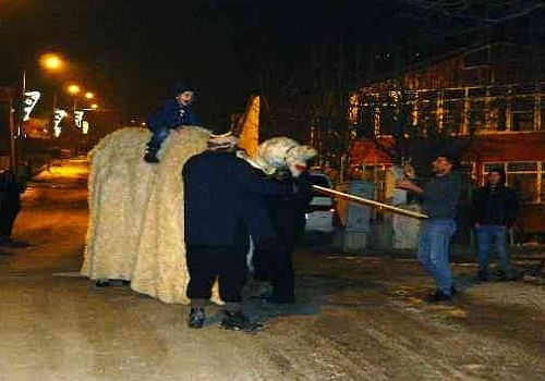 Ardahan Haberi: Posof ta yılbaşını karşılama bu yıl da deve oyunuyla yapıldı