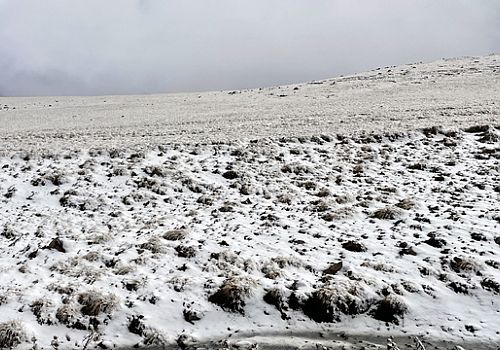 Ardahan'ın yüksek rakımlı bölgelerine kar yağdı.