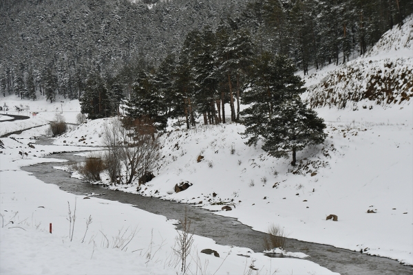 Ardahan'da kar, tipi ve sis ulaşımı aksatıyor