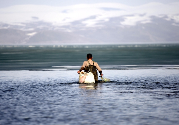 Buzların çözülmesiyle Çıldır'ın balıkçıları ağlarını kıyıya atıyor