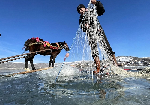 Çıldır'ın Eskimo usulü balık avcılarına kar ve tipi engeli