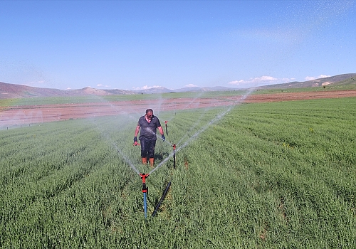 DSİ, Erzurum, Erzincan ve Ağrı'da tarım arazilerini sulayarak ülke ekonomisine katkı sağlayacak
