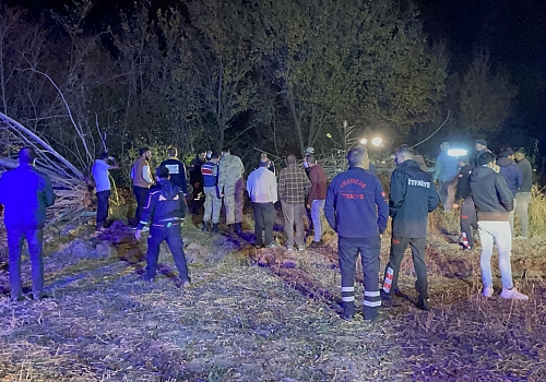 Erzincan'da kestiği ağacın altında kalan kişi hayatını kaybetti