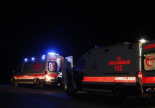 Ardahan dan Erzuruma Hasta götüren ambulansın çarptığı hayvanlar telef oldu