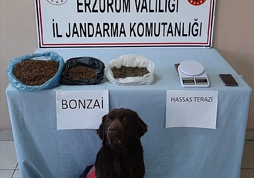 Erzurum'da uyuşturucu operasyonunda 3 şüpheli tutuklandı