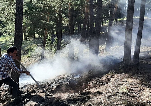 Kars'ta çıkan örtü yangınında yaklaşık bir hektar alan zarar gördü