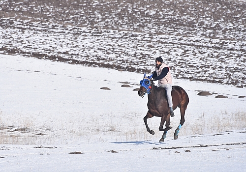 Kars'ta karla kaplı arazide geleneksel at yarışı yapıldı
