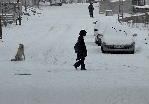 Kars ve Tunceli'de kar yağışı ile sis hayatı olumsuz etkiledi