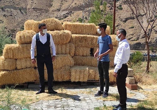 Keban'da Genç Çiftçi Projesiyle mantar yetiştirme tesisi kuruldu