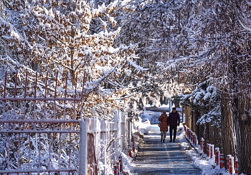 Kış turizmi cenneti Erzurum'a yağan kar güzellikleri de beraberinde getirdi