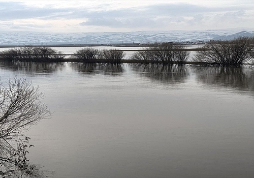 Kura Nehri taştı, Ardahan Ovası'nın mera kısımlarının büyük bölümü su altında kaldı