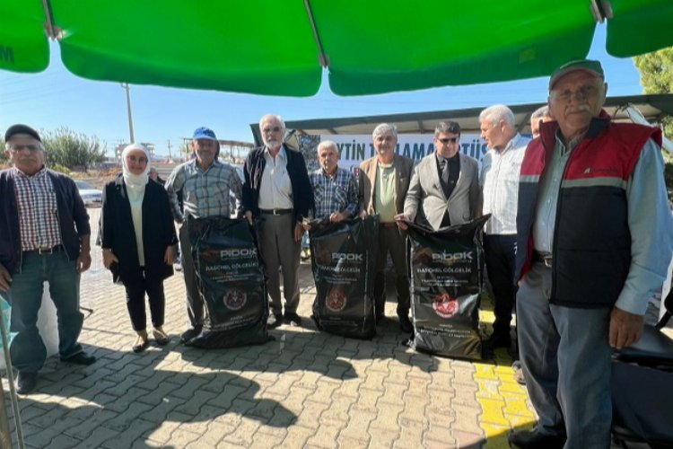 Manisa'da Turgutlu ve Ahmetlili zeytin üreticilerine destek