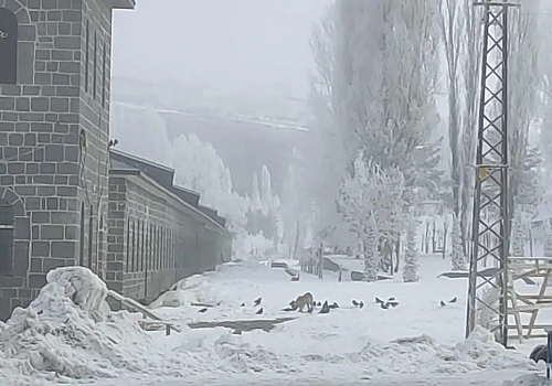 Sibirya Soğukları Ardahan'ı Dondurdu