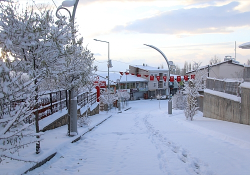 Van'da kar nedeniyle 83 yerleşim yerinin yolu kapandı