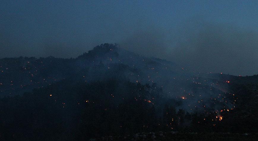 Tarım ve Orman Bakanlığı'ndan devam eden orman yangınlarına ilişkin açıklama