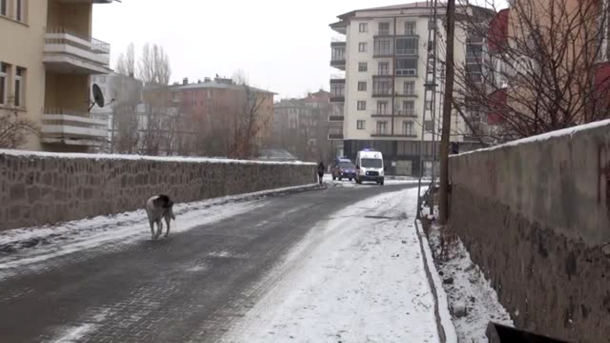 1 Nisan şakası yapan da  İneğim doğuruyor ambulans gönderin diyen de 112'yi arıyor