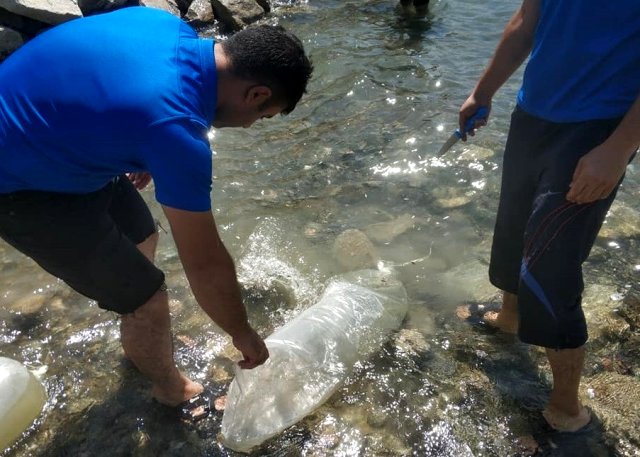 400 bin sazan yavrusu Karakaya Barajı'na bırakıldı