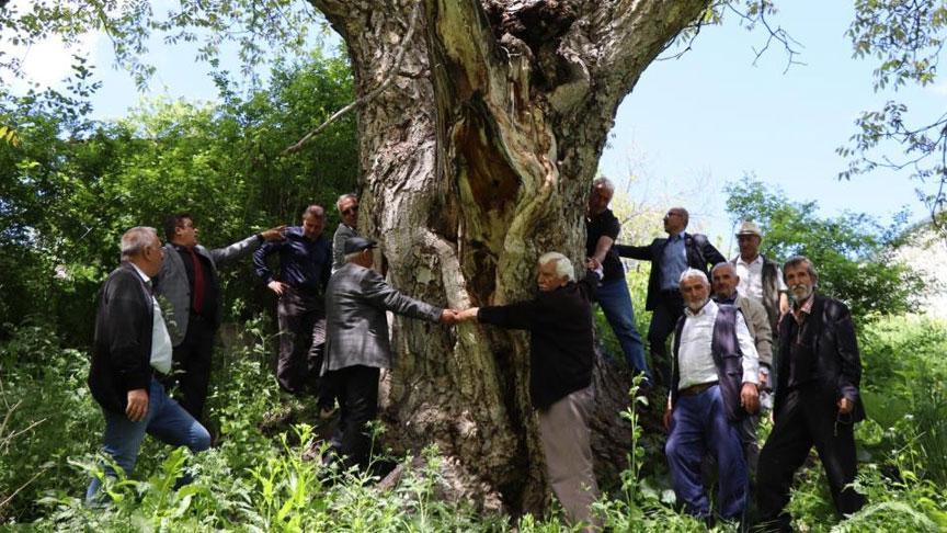 50 teneke hasat yapıldı, 7 kişi el ele tutuşup sarıldı: Hiç kurumaya niyeti yok