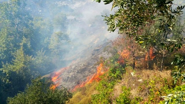 80 hektarlık alanı küle çevirdiği iddia edilen şüpheli gözaltında