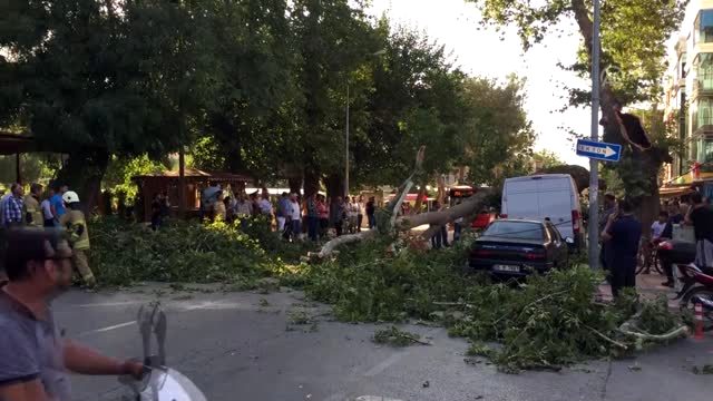 Ağacın kırılan dalı aracın üzerine devrildi