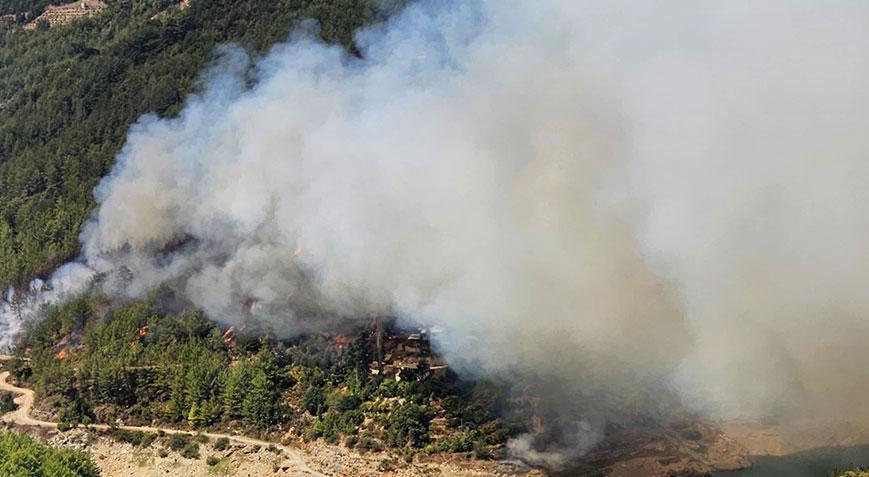 Antalya’da orman yangını! Bakan Yumaklı son durumu açıkladı