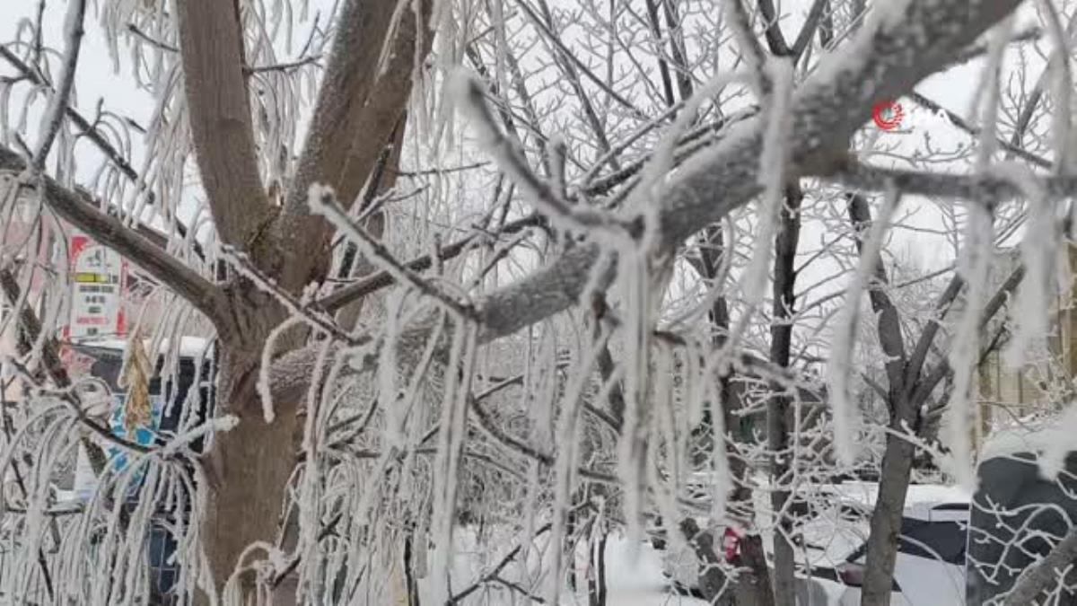 Ardahan buz kesti Hayat Durdu 