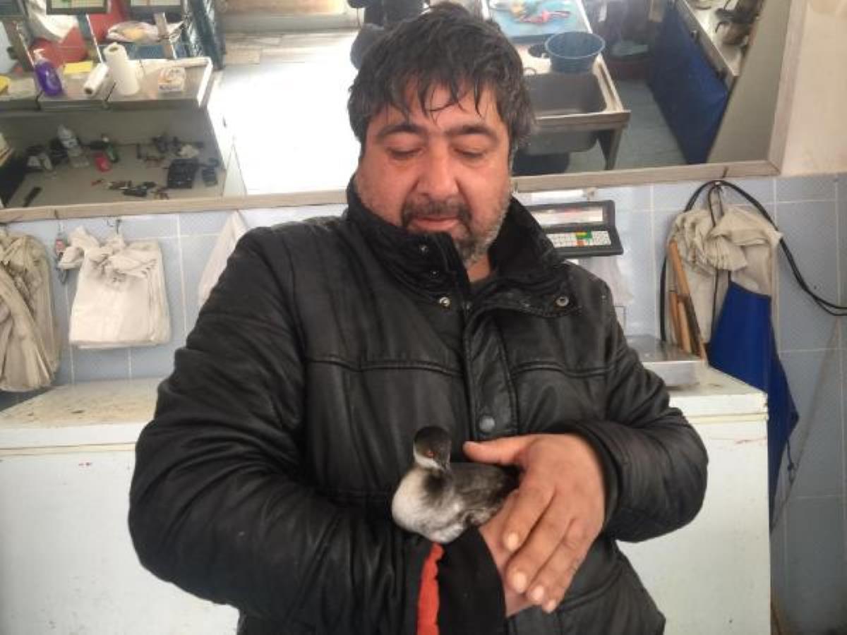 Ardahan da Bitkin bulduğu karabatağı leğende yüzdürdü