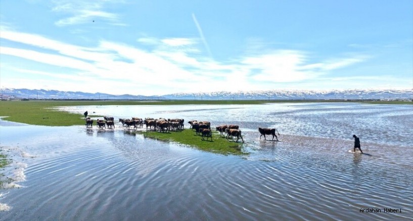 Ardahan’da Doğal Görsel Şölen: Kura Nehri Havadan Görüntülendi