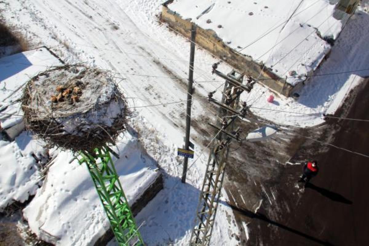 Ardahan da İtfaiye, karlı ve soğuk havada leylek yuvasına yiyecek bıraktı